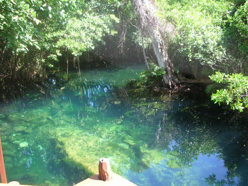 DSCN0598.jpg