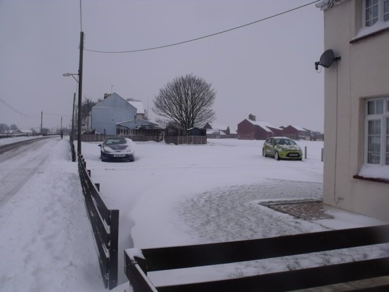 snow011.jpg