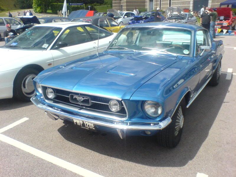 DSC01486.jpg