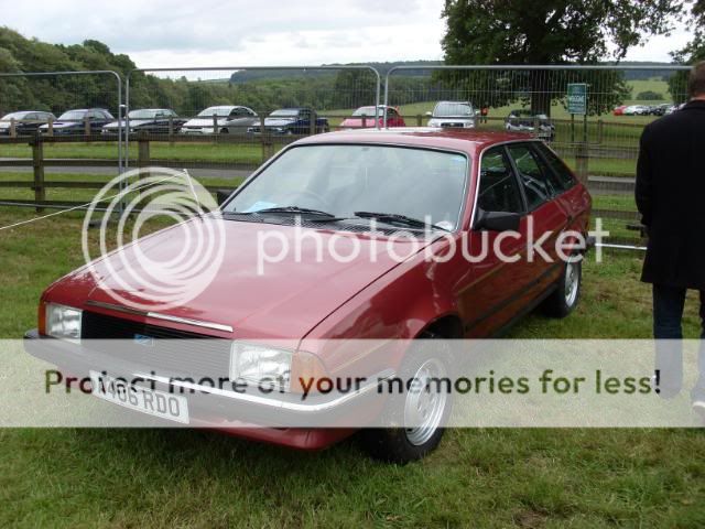 Harewood2011134.jpg