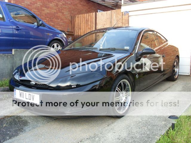 UpdatedCougPics-Sept2012014.jpg