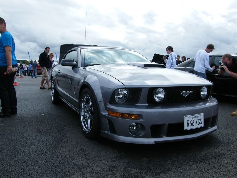 DSCF0432800x600.jpg