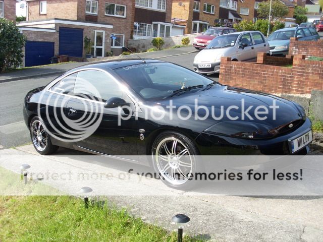 UpdatedCougPics-Sept2012005.jpg