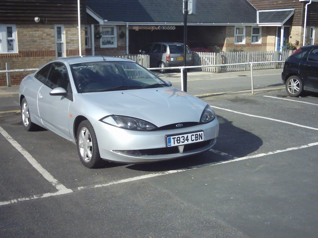 Cougar2.jpg