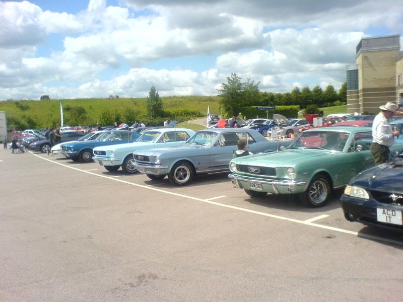 DSC01478.jpg