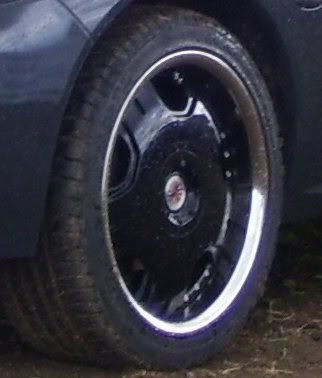 wolfywheel.jpg