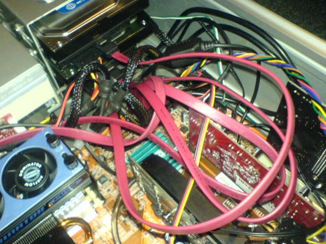 DSC02540.jpg