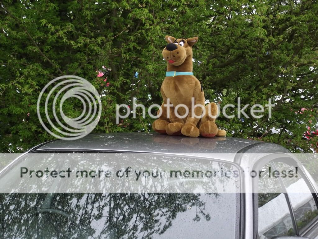 DSCF4257.jpg