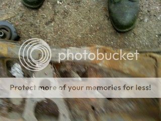 IMG_20120612_144605.jpg