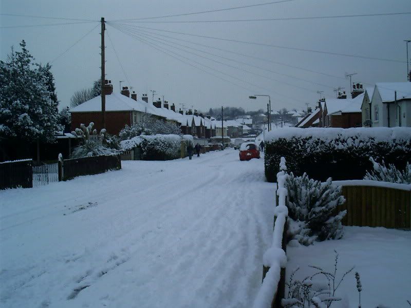 IMAG0024.jpg