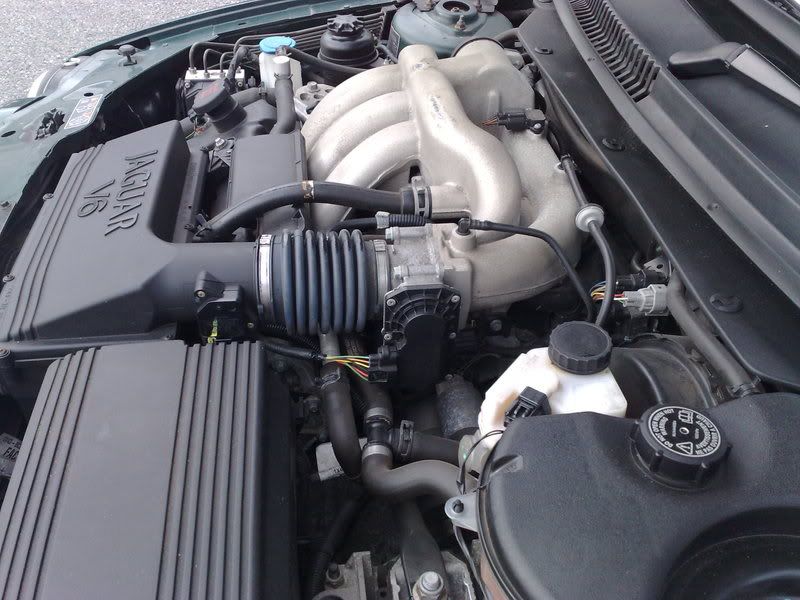 06072008086.jpg