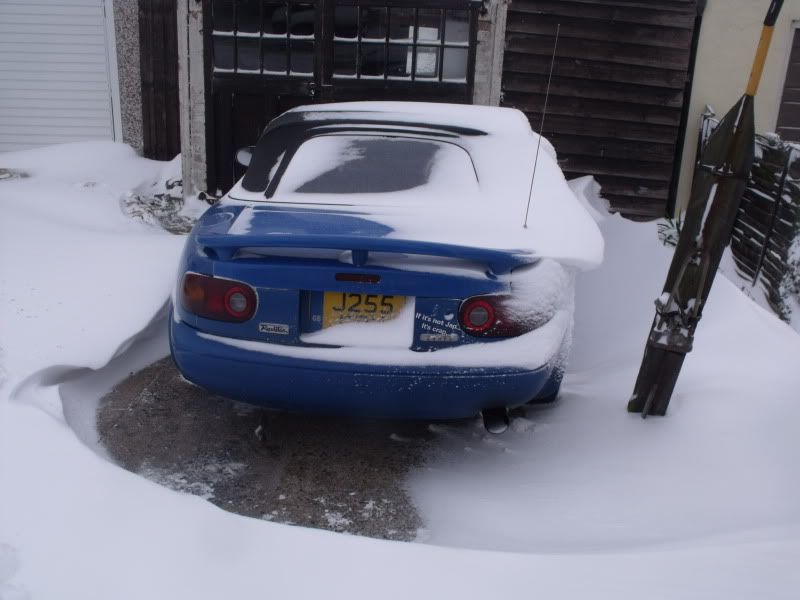 snowcars010.jpg