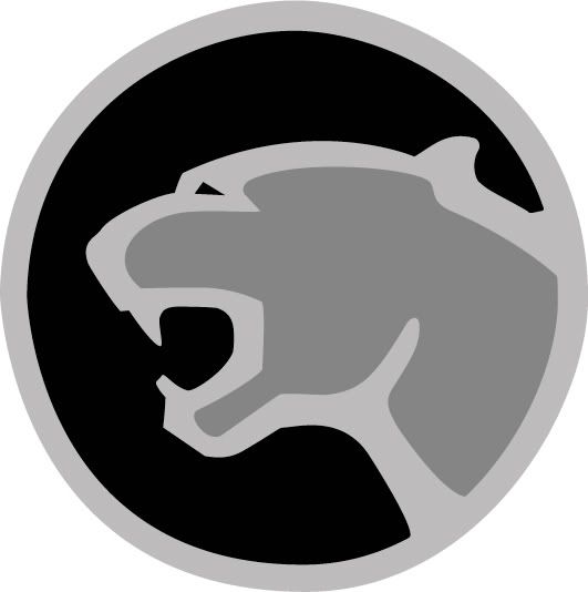 cougar-grey.jpg