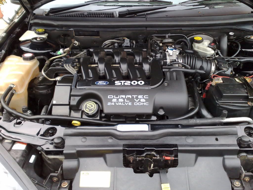 07062008241.jpg