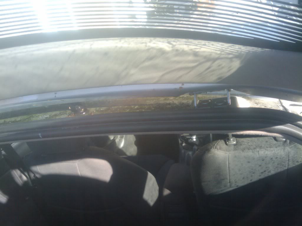 2010-10-17103815.jpg