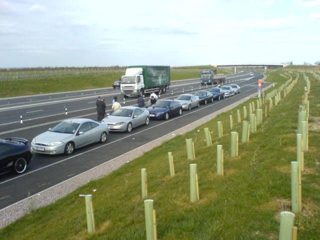 DSC00134.jpg