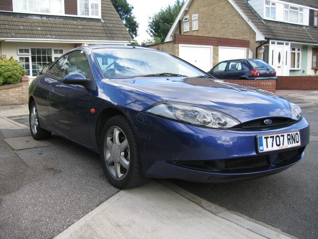 Cougar005.jpg
