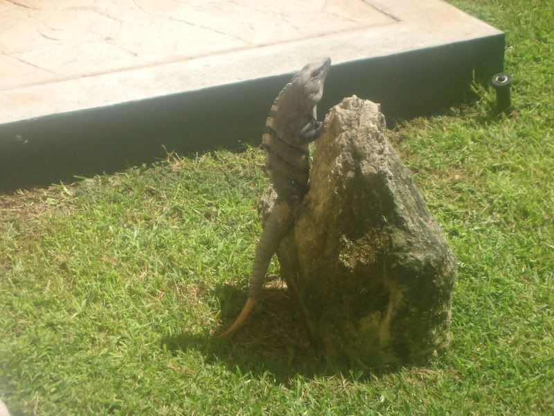 DSCN0534.jpg