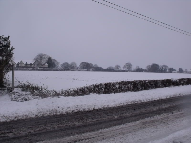 snow010.jpg