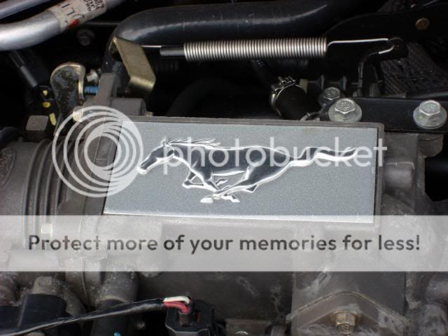 Harewood2011160.jpg
