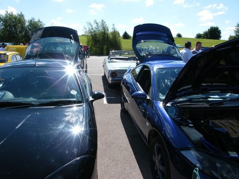 DSCF0269800x600.jpg