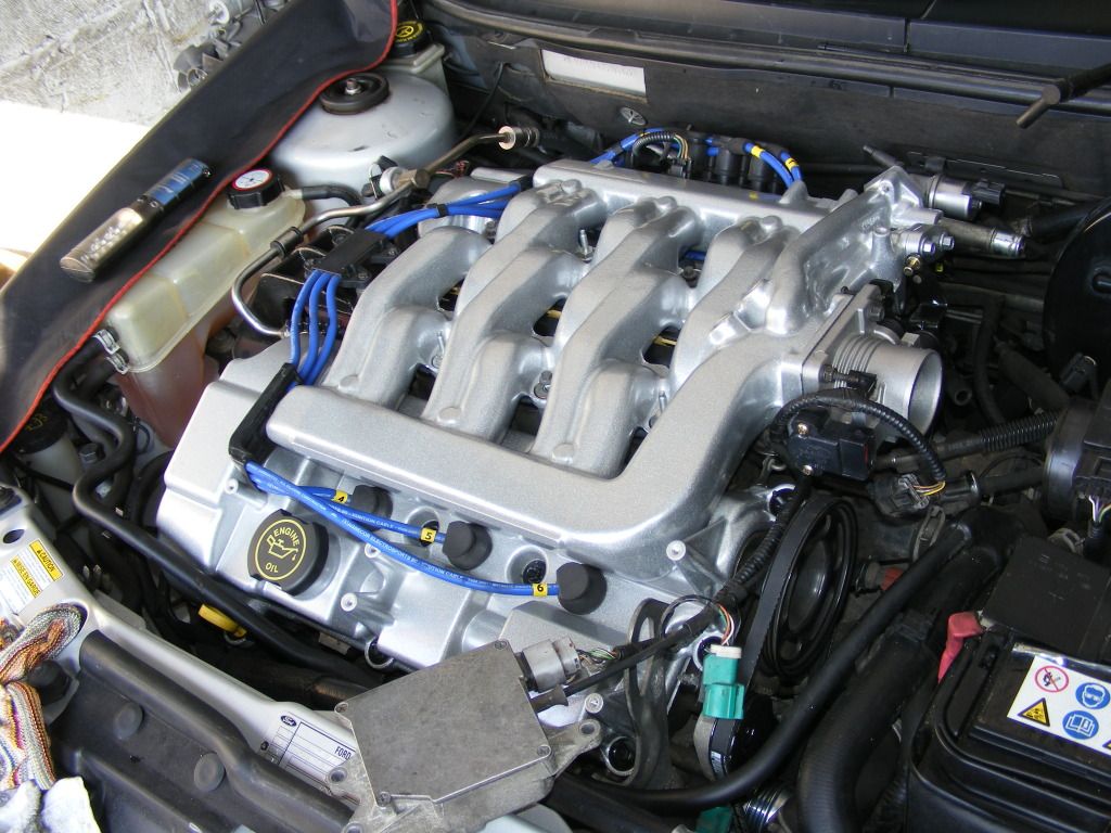 DSCF4606.jpg