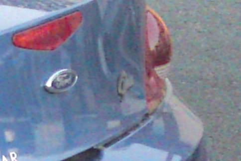 close-up2.jpg