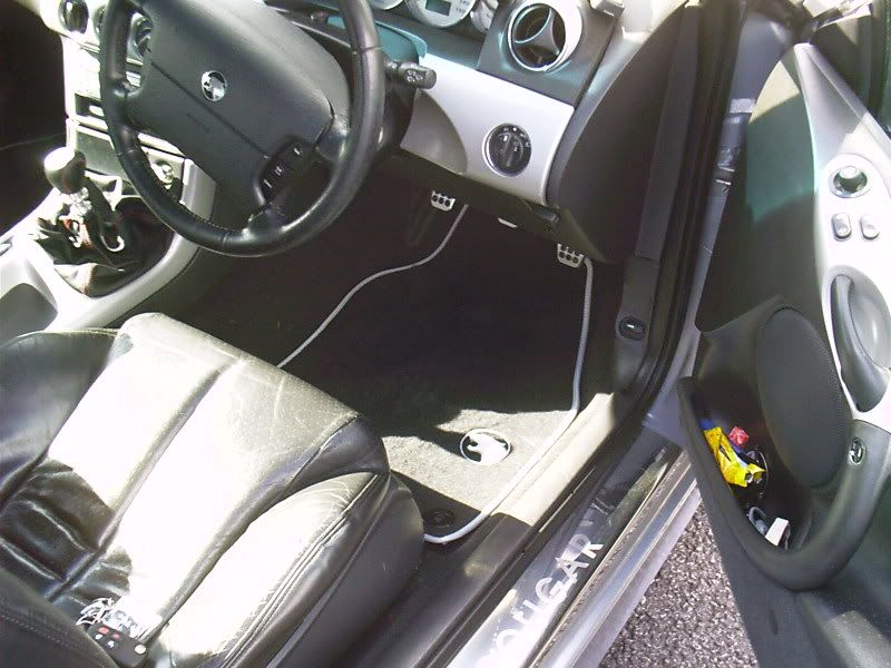 IMAG0042.jpg