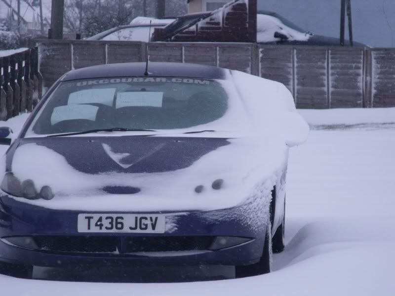 snowcars001.jpg