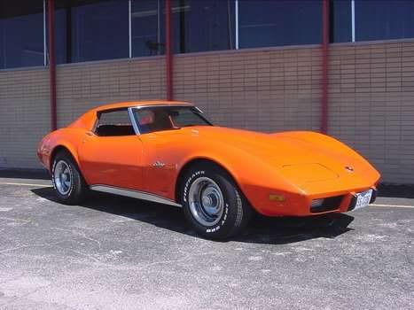 stingray3.jpg