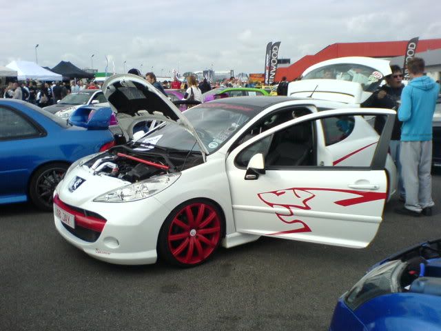 DSC02354.jpg