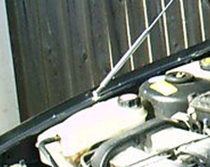 closeup1.jpg