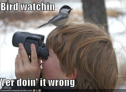Birdwatching.jpg