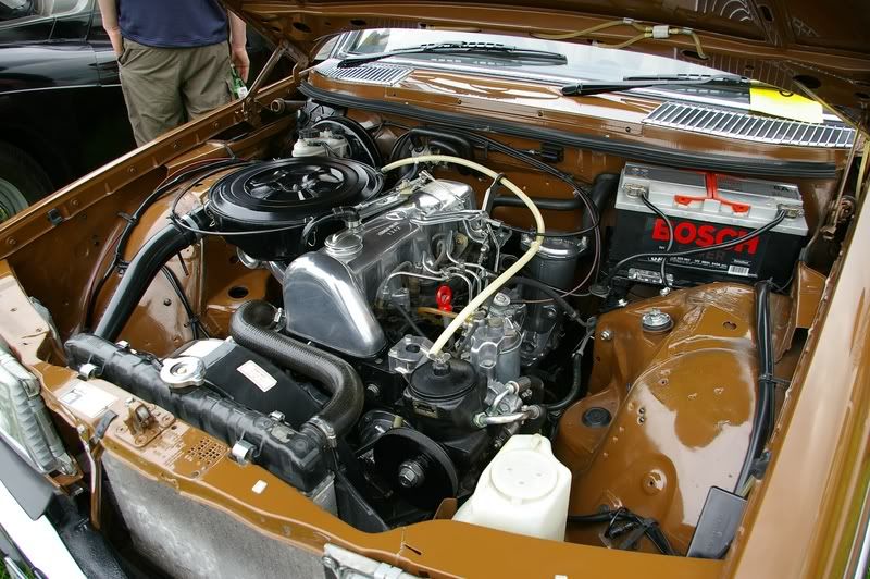 IMGP4502800x600.jpg