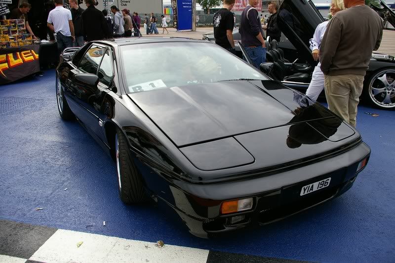 IMGP5483800x600.jpg