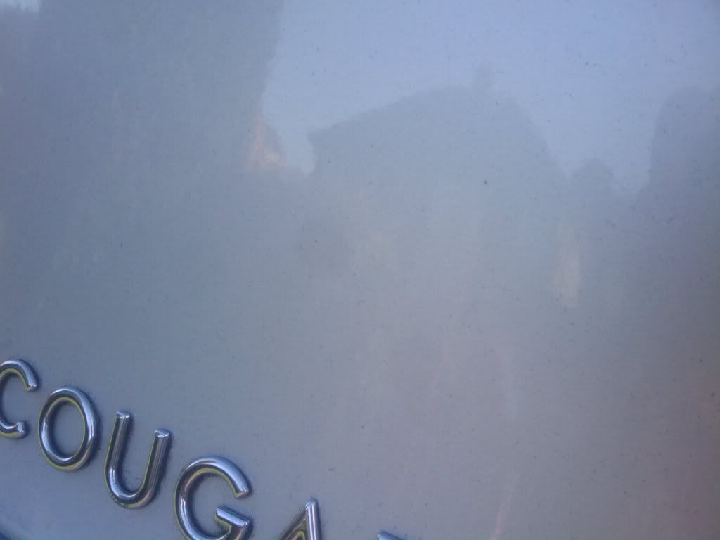 2010-10-17100355.jpg