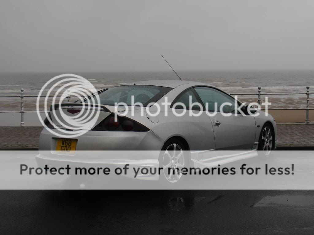DSC08230.jpg