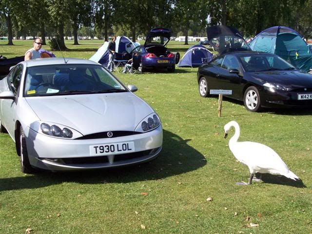 100_1091MediumSmall.jpg
