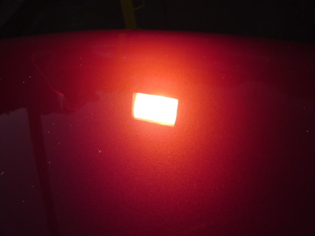 P11-10-10_1825.jpg
