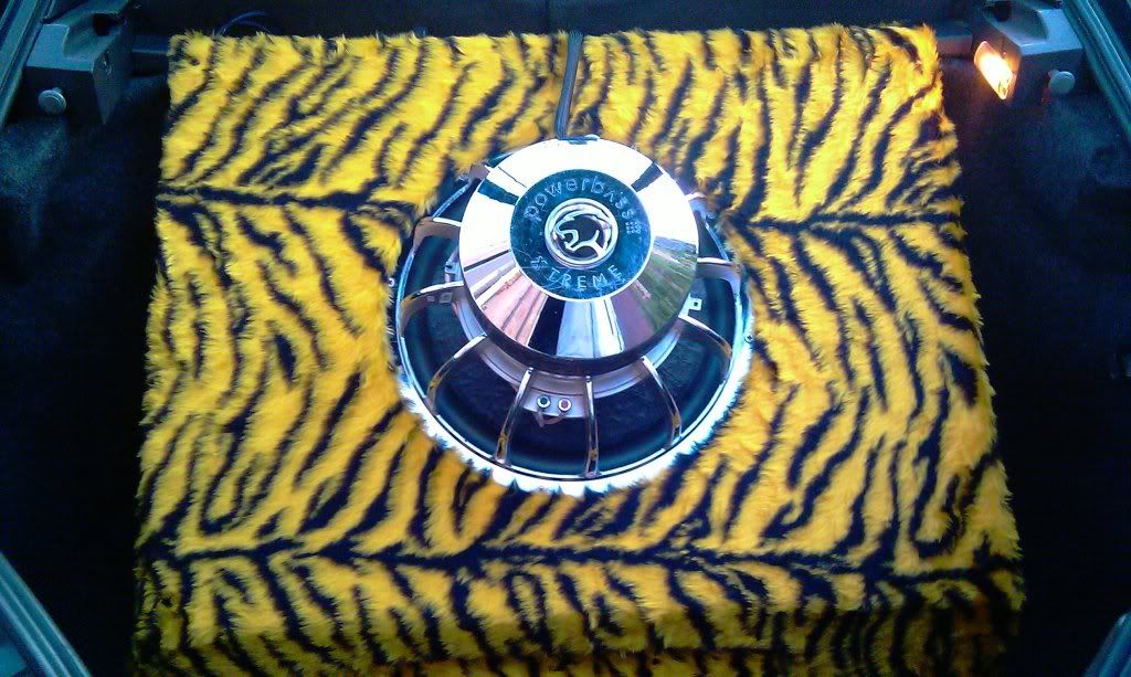 IMAG0281.jpg