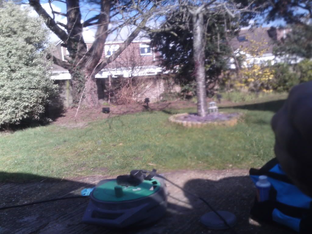 P02-03-10_124902.jpg