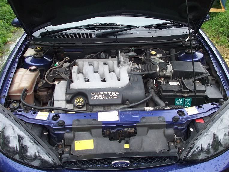 C6.jpg