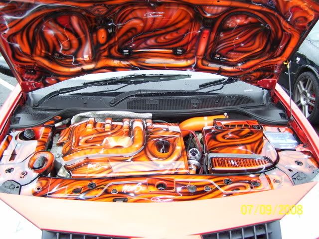 trax20085.jpg