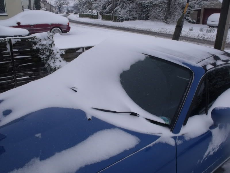snowcars007.jpg