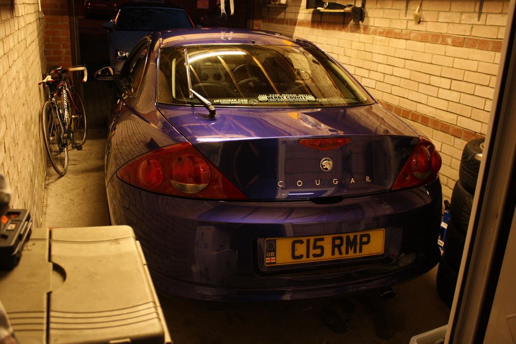 IMG_4981_zpssalbzqbf.jpg
