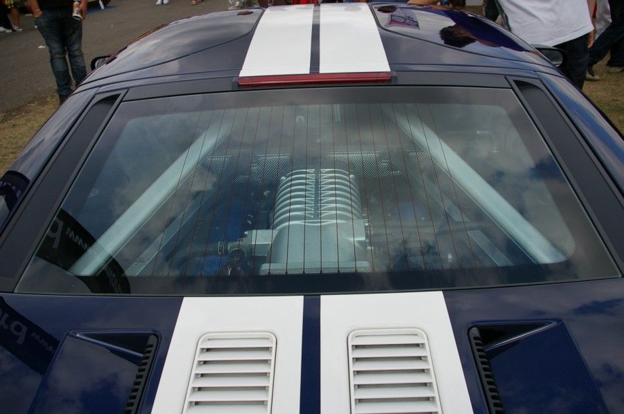 IMGP9061.jpg