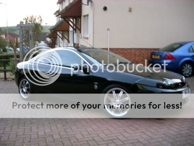 CougWashedClayBarredandpolished141011006.jpg