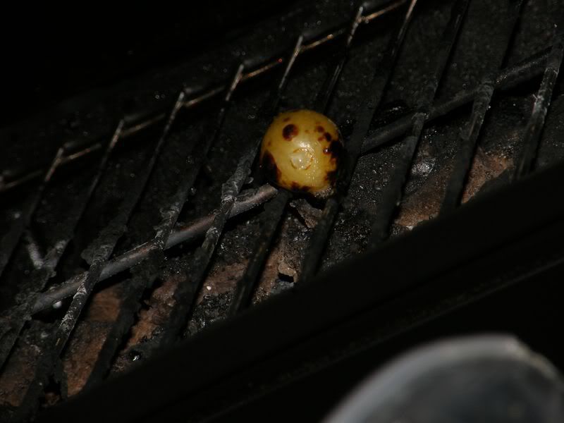 DSCF0605800x600.jpg