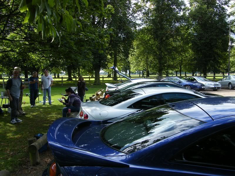 DSCF0806800x600.jpg