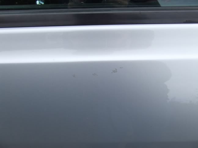 DSCF1227.jpg